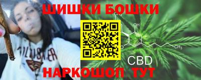 ECSTASY Заводоуковск
