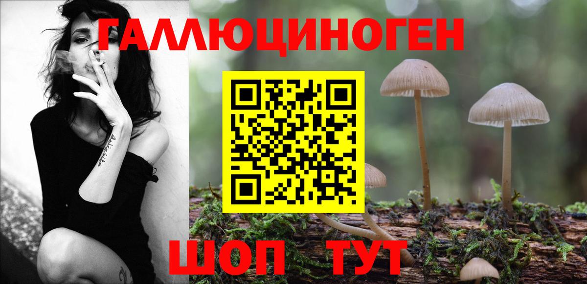 Псилоцибиновые грибы прущие грибы  Вход с VPN  Лабинск 